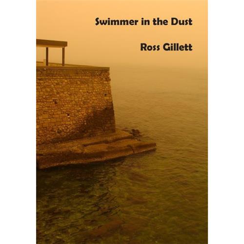 Swimmer in the Dust by Ross Gillett